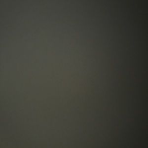 Meet your Posher, Braulio